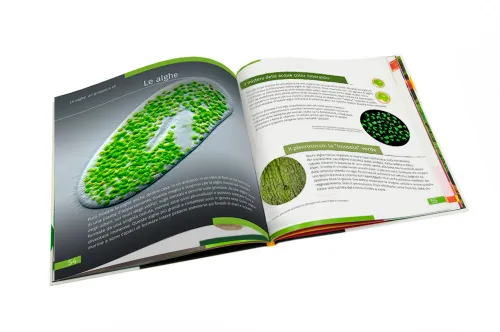 figura di Mondo invisibile. Libro educativo. Copertina rigida,  3