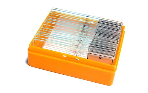 fotografia di Set di vetrini preparati Levenhuk N18 NG,  5