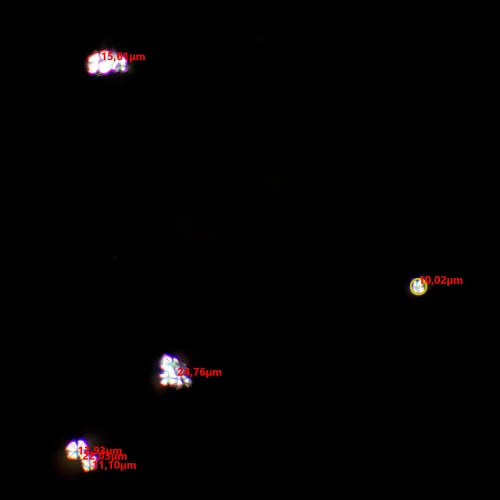 figura di Set polarizzatore/analizzatore MAGUS SPD2,  6