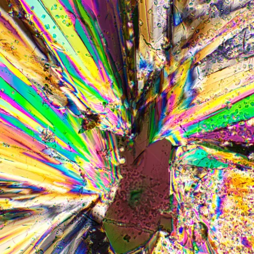 immagine di Set polarizzatore/analizzatore MAGUS SPD1,  4