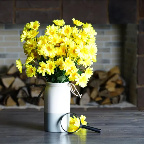 fotografia di Lente d’ingrandimento Levenhuk Zeno Handy ZH5,  11