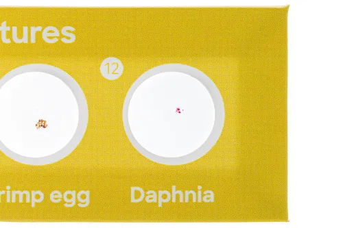 fotografia di Levenhuk Discovery Fauna Set con 12 vetrini preparati,  7