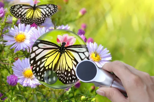 figura di Lente d’ingrandimento Levenhuk Zeno 400 LED, 2/4x, 88/21 mm, metallo,  7