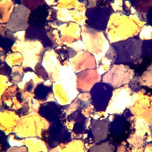 foto di Microscopio polarizzatore MAGUS Pol 800,  18