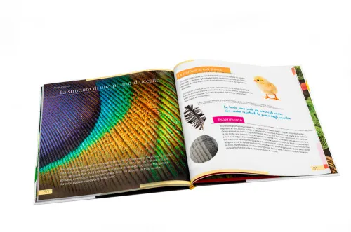 figura di Mondo invisibile. Libro educativo. Copertina rigida,  4