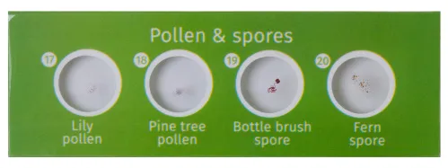 foto di Levenhuk LabZZ CP24 Set di vetrini preparati Piante e Animali,  6