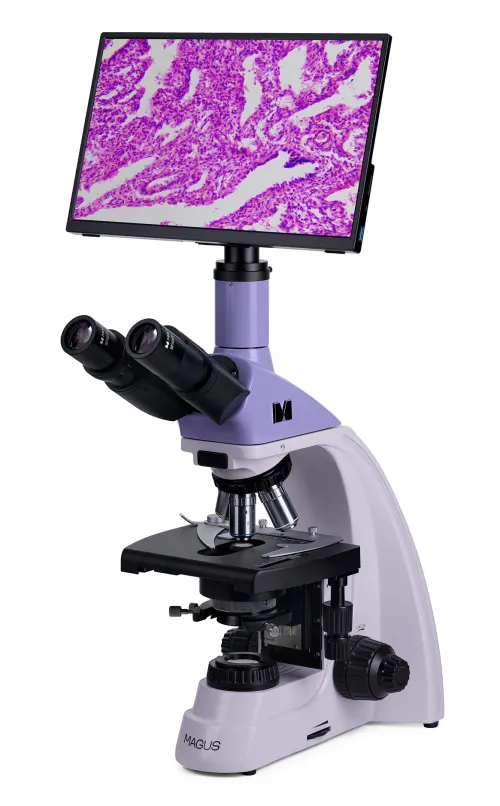 fotografia di Microscopio biologico digitale MAGUS Bio D250T LCD,  3