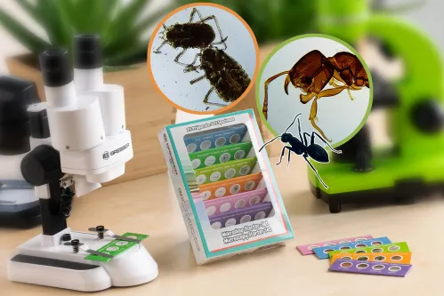 fotografia di Kit per esperimenti Bresser Junior con 24 preparati permanenti microscopio per principianti,  2