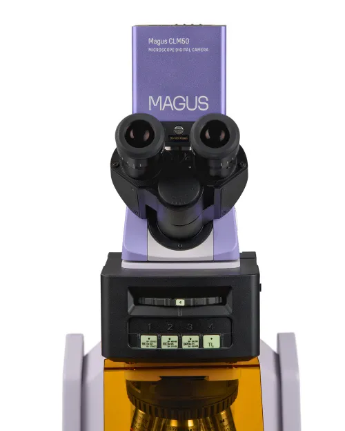 fotografia di Microscopio a fluorescenza digitale MAGUS Lum D470L,  10