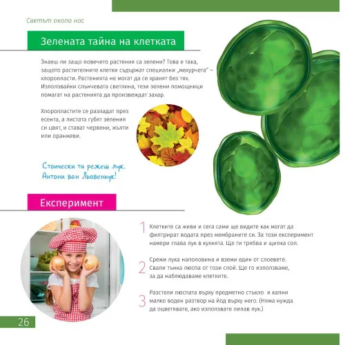 immagine di Spazio. Microcosmo. Libro educativo in 2 volumi,  11