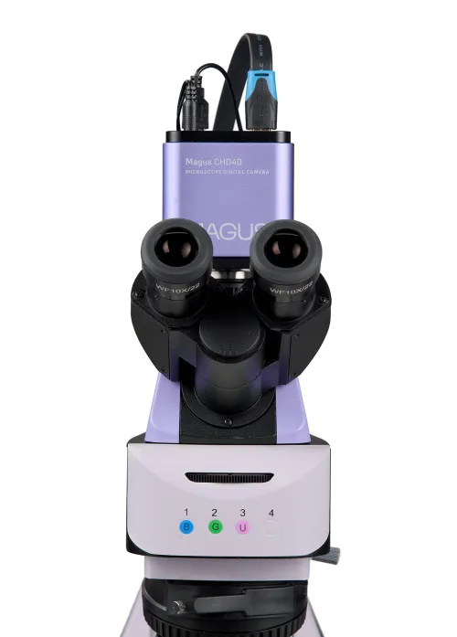 figura di Microscopio digitale a fluorescenza MAGUS Lum D460L LCD,  11