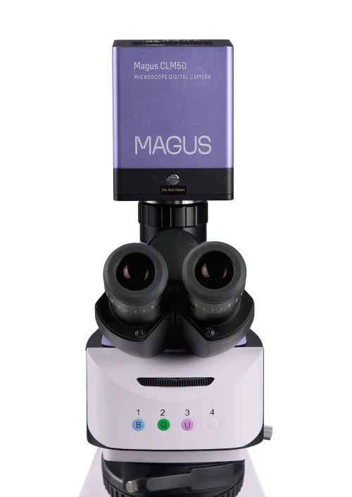 foto di Microscopio a fluorescenza digitale MAGUS Lum D460L,  11