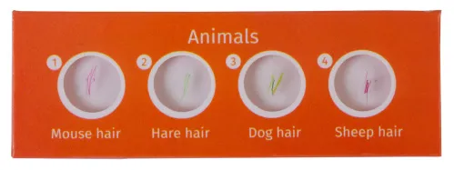 foto di Levenhuk LabZZ C12 Set di vetrini preparati Animali - Articolo in esposizione,  2