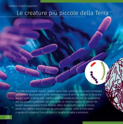 immagine di Mondo invisibile. Libro educativo,  5