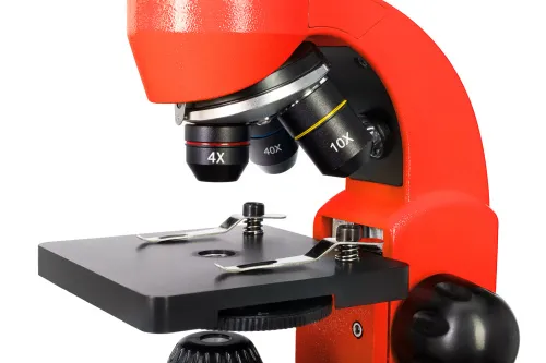 foto di Microscopio Levenhuk Rainbow 50L PLUS,  10