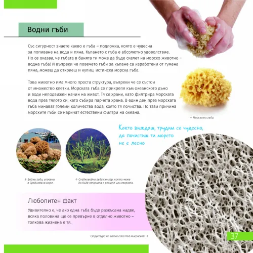 immagine di Spazio. Microcosmo. Libro educativo in 2 volumi,  8