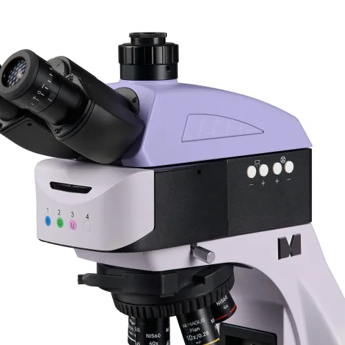 fotografia di Microscopio a fluorescenza MAGUS Lum 460L,  11