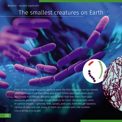 figura di Spazio. Microcosmo. Libro educativo in 2 volumi, copertina rigida,  9