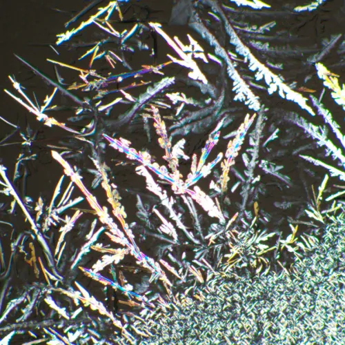 fotografia di Set polarizzatore/analizzatore MAGUS SPD3,  6