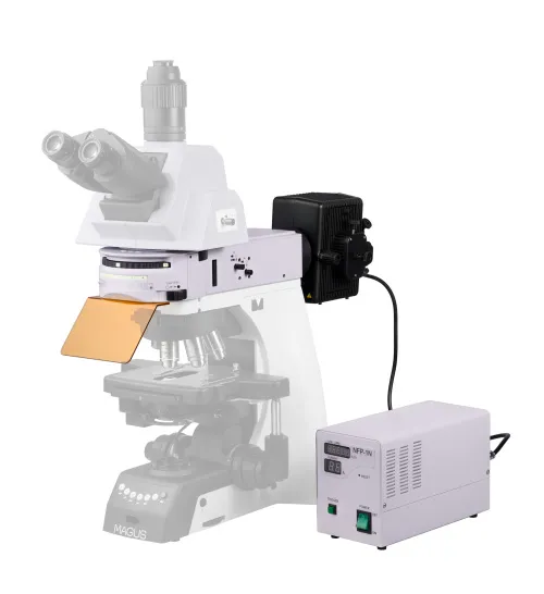 immagine di Attacco epi-fluorescenza MAGUS Epi-FL06, lampada al mercurio, cubi per filtri fluorescenti В/G/UV/V/R/FITC/TRITC/DAPI,  16