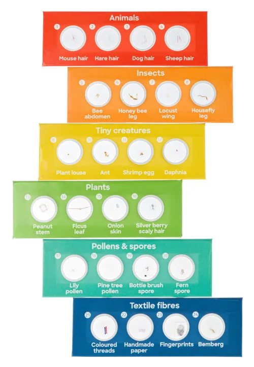 immagine di Microscopi Levenhuk Discovery Nano,  16