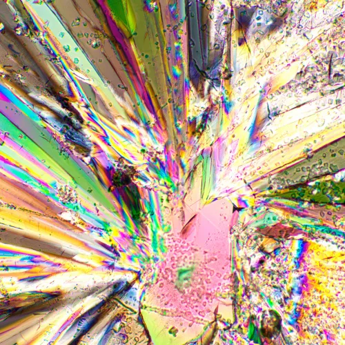 figura di Set polarizzatore/analizzatore MAGUS SPD2,  3