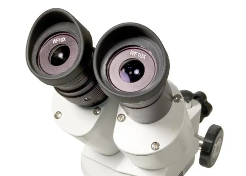 fotografia di Microscopio Levenhuk 3ST,  3