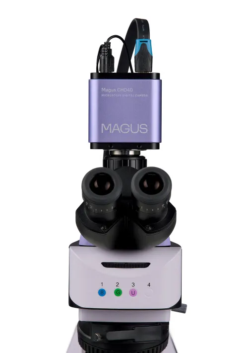 figura di Microscopio digitale a fluorescenza MAGUS Lum D460L LCD,  12