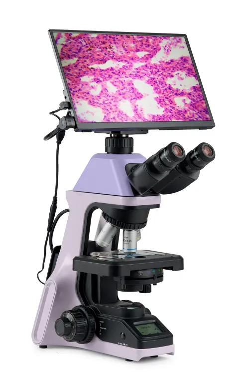 fotografia di Microscopio biologico digitale MAGUS Bio D240T LCD,  3