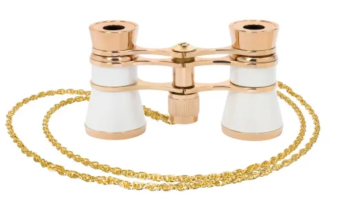 immagine di Binocoli da teatro Levenhuk Broadway 325B,  7