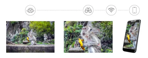 figura di Fotobinocolo digitale Levenhuk Kelvin Snap ED 8x42,  9