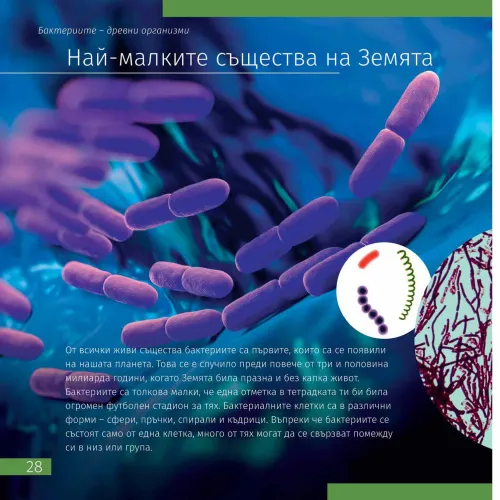 immagine di Spazio. Microcosmo. Libro educativo in 2 volumi,  10