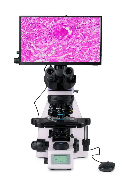 figura di Microscopio biologico digitale MAGUS Bio D260T LCD,  8