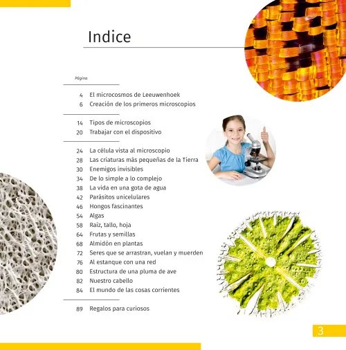 immagine di Mondo invisibile. Libro educativo,  2