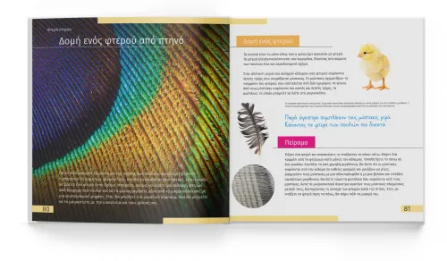immagine di Mondo invisibile. Libro educativo,  4