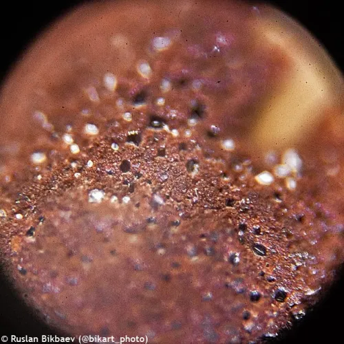 fotografia di Microscopio digitale Levenhuk Rainbow D50L PLUS 2M, moonstone,  25