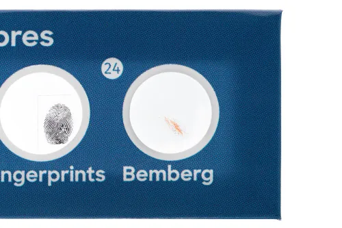 figura di Levenhuk Discovery Flora Set con 12 vetrini preparati,  5