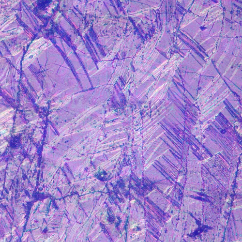 figura di Microscopio metallografico invertito MAGUS Metal V700 DIC,  17
