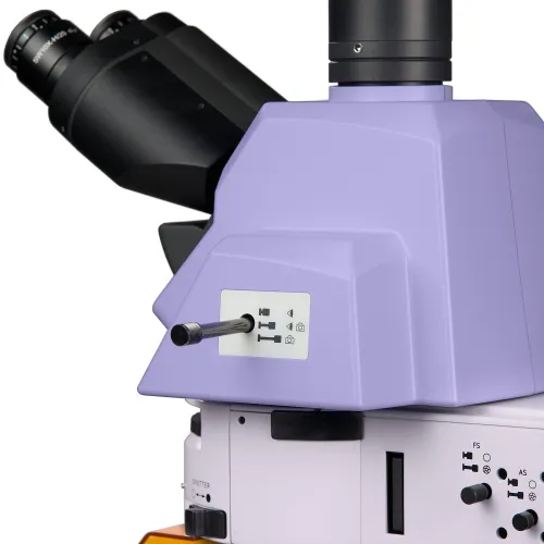 immagine di Microscopio a fluorescenza MAGUS Lum 490L,  12