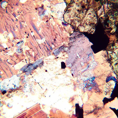 foto di Microscopio polarizzatore digitale MAGUS Pol D800,  20