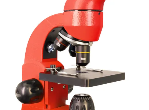 foto di Microscopio Levenhuk Rainbow 50L PLUS,  14