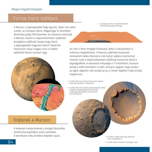 immagine di Set Levenhuk Discovery Scope 2 con libro,  6