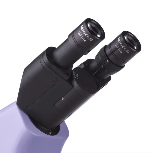 immagine di Microscopio biologico MAGUS Bio 230B,  12
