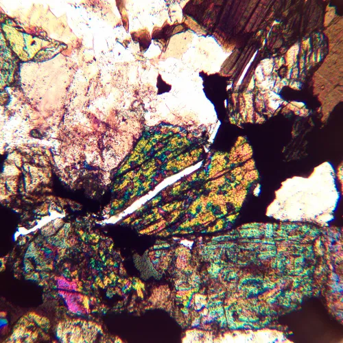 fotografia di Microscopio polarizzatore digitale MAGUS Pol D890 MAGUS,  29