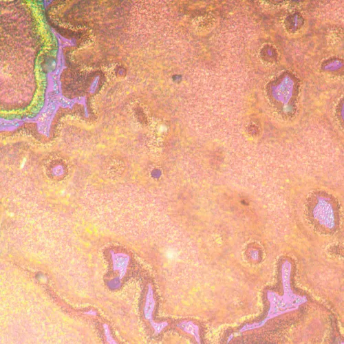 fotografia di Microscopio metallografico invertito MAGUS Metal V790 DIC,  22