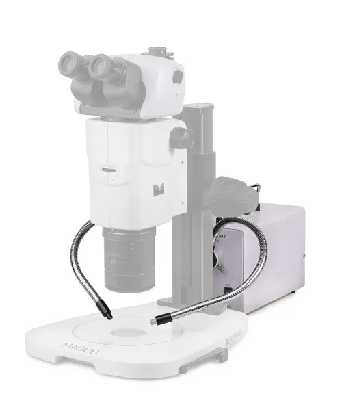 fotografia di Luce fredda con doppia guida luminosa MAGUS CLI18T,  4