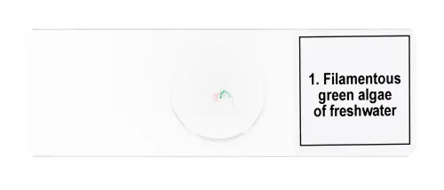 figura di Set di micropreparati Levenhuk Discovery Prof DPS 5. “Biologia”,  7
