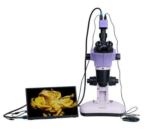 fotografia di Microscopio stereoscopico digitale MAGUS Stereo D9T LCD,  6