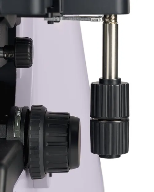 fotografia di Microscopio biologico MAGUS Bio 290T,  15
