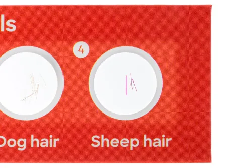 fotografia di Levenhuk Discovery Fauna Set con 12 vetrini preparati,  4